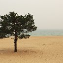 ���� ����, �������, 61 ��� - ��������� 2 ������� 2015 � ������ ������ ��������