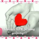 ���� Rose, ����������� - ��������� 10 ������� 2015 � ������ �������� ��������