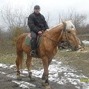 ���� ��������, ������ - ��������� 4 ������ 2016 � ������ ������ ��������