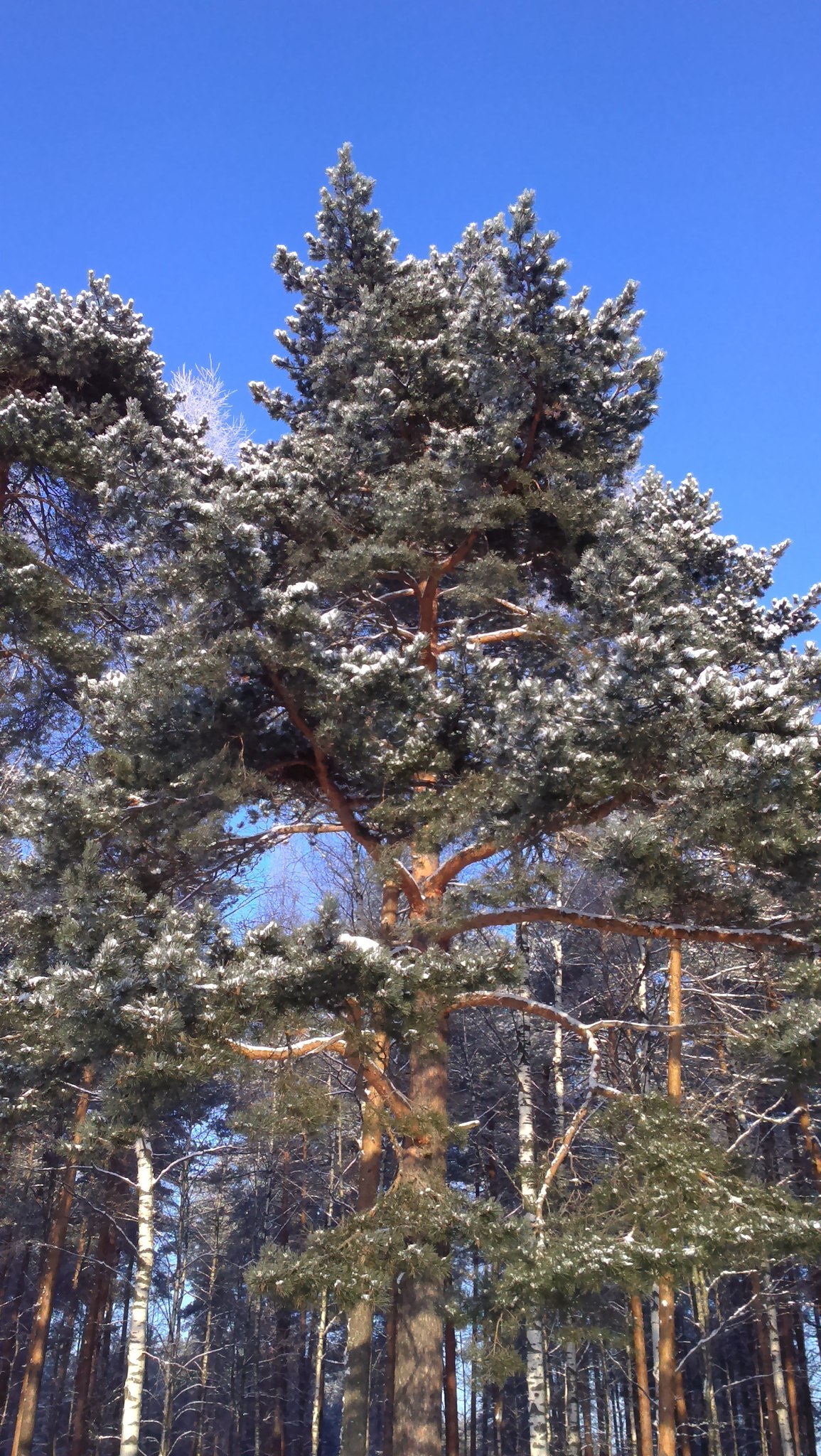   - 11  2016  02:10 - 8