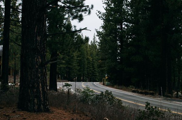 ������ ���� ����� ��, ��� �������� ������������� ���� �����. - 6