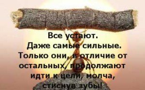 .https://fotostrana.ru/away?to=/sl/kxC2 - 19  2016  18:43