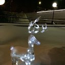 ���� ���������, �������, 37 ��� - ��������� 11 ������ 2016 � ������ ������ ��������