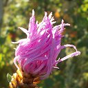 ���� ������, ��������, 55 ��� - ��������� 28 �������� 2015 � ������ ���� ����������