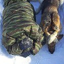 ���� ������� �����, ����, 55 ��� - ��������� 9 ������� 2015 � ������ ������ ��������