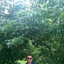 ���� ���������� ������, �����, 47 ��� - ��������� 25 �������� 2015 � ������ ���� ����������