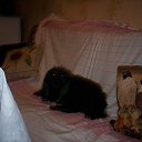 ���� 2007 �� ������� ���� �������