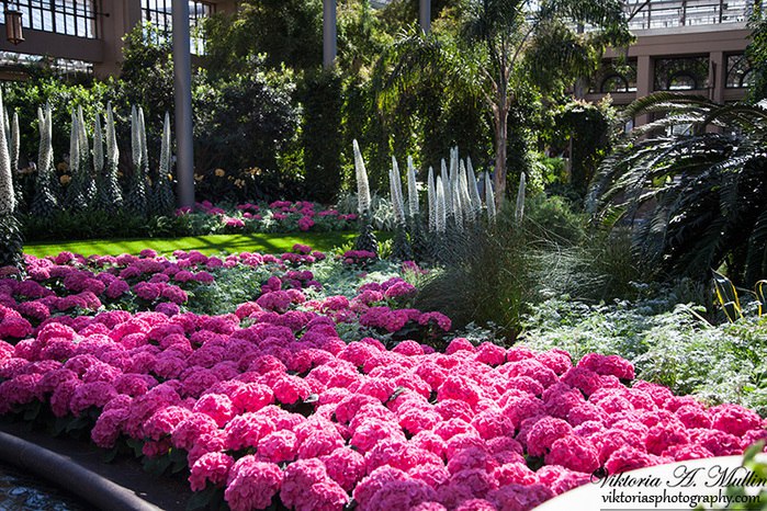 ���� � �������..