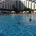  , , 55  -  31  2015    2015