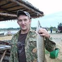 ���� ����, ���������, 42 ���� - ��������� 29 ������ 2016