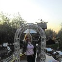 ���� ��������, ������, 51 ��� - ��������� 22 ������ 2015