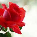 ���� �����, ��� - ��������� 7 ������ 2016 � ������ ������ ��������