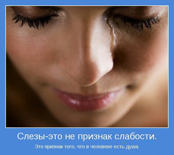   - 2  2015  14:54 - 2