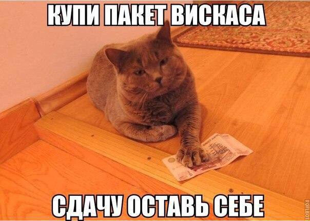 -  - 18  2016  07:01