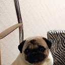 ���� �����, �������������, 56 ��� - ��������� 6 ������� 2015