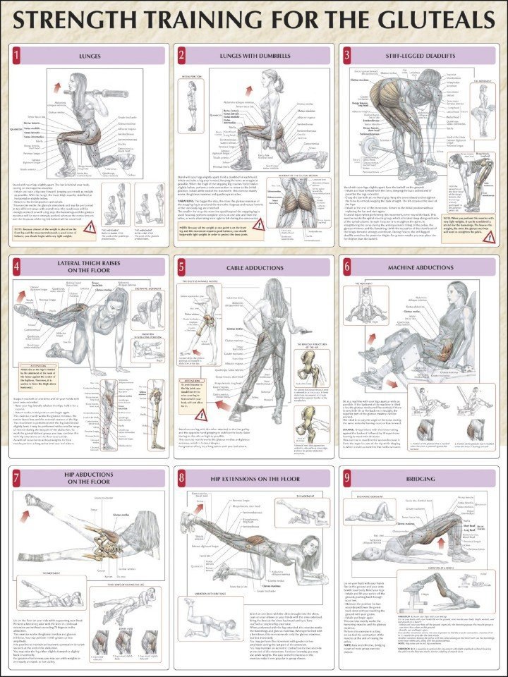     . !  #@fitness.blog - 7