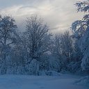 ���� �����, ��������, 54 ���� - ��������� 21 ������� 2016 � ������ ������ ��������