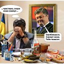 ���� ������, ������������, 66 ��� - ��������� 29 ������� 2015 � ������ ������ ��������