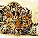 ���� ���������, ��������� - ��������� 10 ������ 2015 � ������ ������ ��������