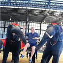 ���� ���������, ��������, 69 ��� - ��������� 24 ������� 2015 � ������ ������ ��������