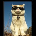 ���� ����, ���������, 29 ��� - ��������� 3 ������� 2016 � ������ ���� ����������