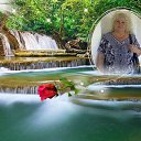���� ����, ������, 74 ���� - ��������� 29 ������ 2015 � ������ ������ - ������ �����������