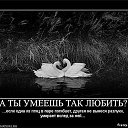 ���� �����, ���� - ��������� 3 ������� 2016 � ������ ������ ��������