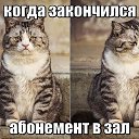 ���� �������, ������, 46 ��� - ��������� 23 ������� 2015 � ������ ���� ����������
