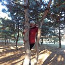 ���� ��������, ��������, 58 ��� - ��������� 8 ������� 2015 � ������ ���� ����������