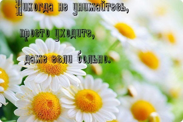 .https://fotostrana.ru/away?to=/sl/kxC2 - 26  2016  07:02