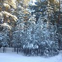 ���� Alexandr, ������, 75 ��� - ��������� 6 ������� 2015 � ������ ��������