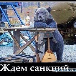 ���� �����, ������, 37 ��� - ��������� 20 ������� 2015