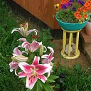 ���� �����, ����������, 59 ��� - ��������� 22 ������� 2016 � ������ ������ ��������