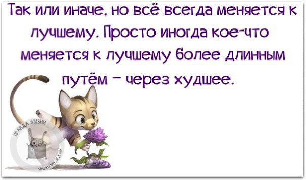 ������ ����� - 8 ����� 2016 � 06:11