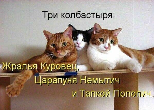 Любители животных - 2 октября 2015 в 08:10
