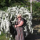 2012� ������������� ���� �� ������� ���� ����������