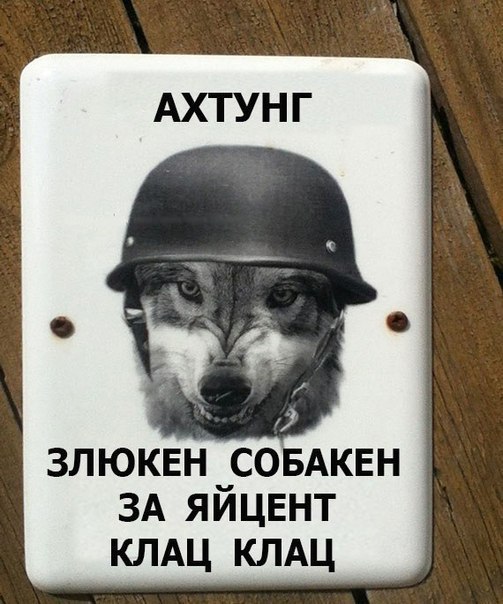 -  - 6  2016  17:56