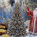 ���� Lyubov, ������������ - ��������� 31 ������� 2015 � ������ ������ ��������