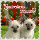 ���� ������, ������ ����� - ��������� 23 ������ 2015 � ������ �������� ��������