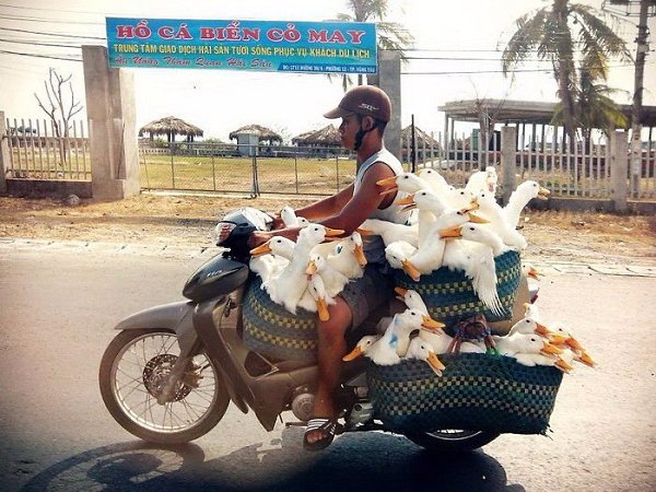 Самые загруженные транспортные средства на дорогах мира.Иногда даже не верится, что настолько ... - 10