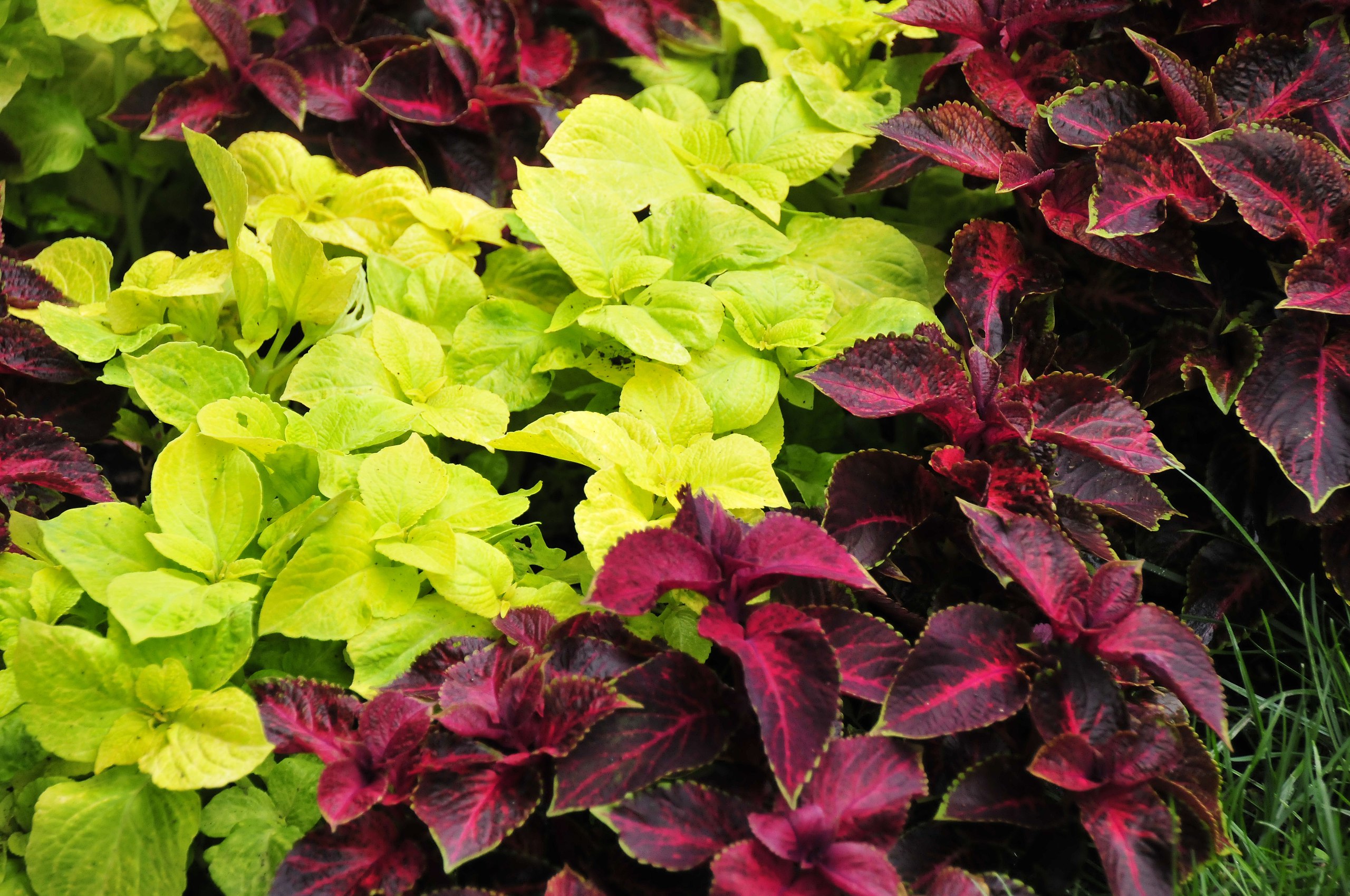   - 27  2016  22:51 - 20