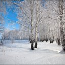 ���� �������, ����� - ��������� 21 ������ 2015 � ������ ������ ��������