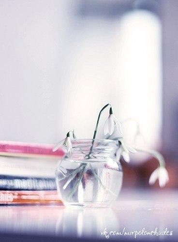 Очень сложно описать словами Нежность... Это то, что невозможно передать... Это – Чувства переходят ... - 6