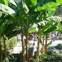 ���� �����, ����� - ��������� 21 ������� 2015 � ������ ���� ����������