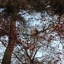 ���� Helen, ������, 65 ��� - ��������� 27 ������� 2015 � ������ ���� ����������