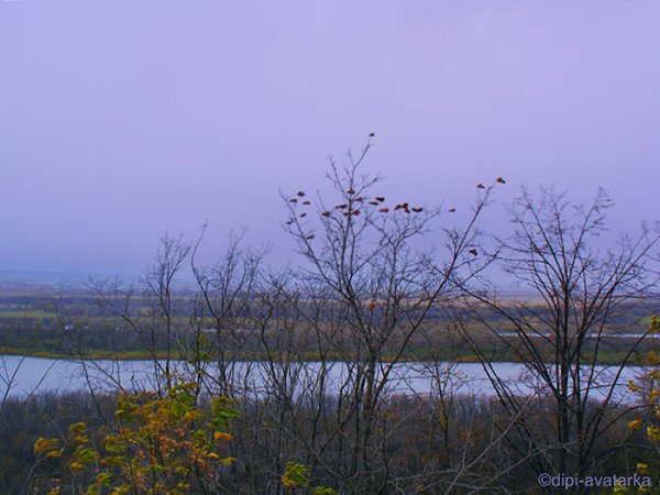 dipi-avatarka - 21  2016  19:09