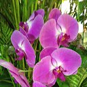 ���� ����, �����-���������, 60 ��� - ��������� 1 ������� 2015