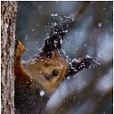 ���� ����, �������, 47 ��� - ��������� 10 ������� 2015 � ������ ������ ��������