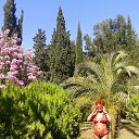 ���� �����, ������������ - ��������� 7 ������� 2016 � ������ ��������.�