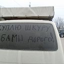 ���� Vampir, ������, 50 ��� - ��������� 30 �������� 2015 � ������ ���� ����������